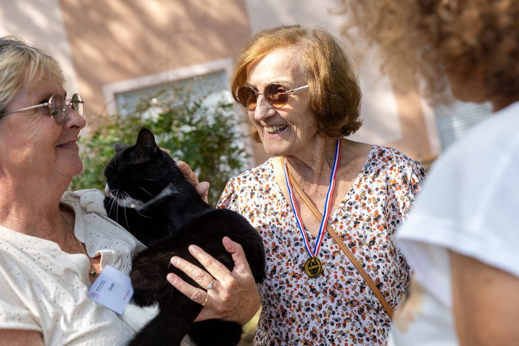 Résidente avec équipe et un chat